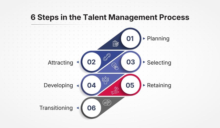 6 Steps in the Talent Management Process